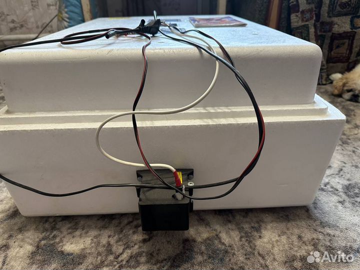 Инкубатор для яиц автоматический несушка