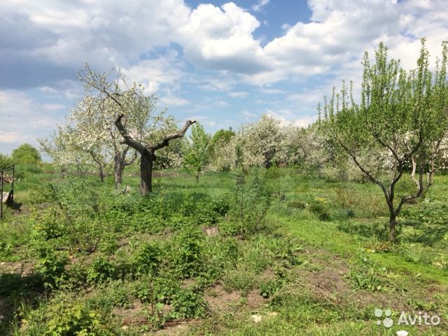 Участок 40 сот. (ИЖС)