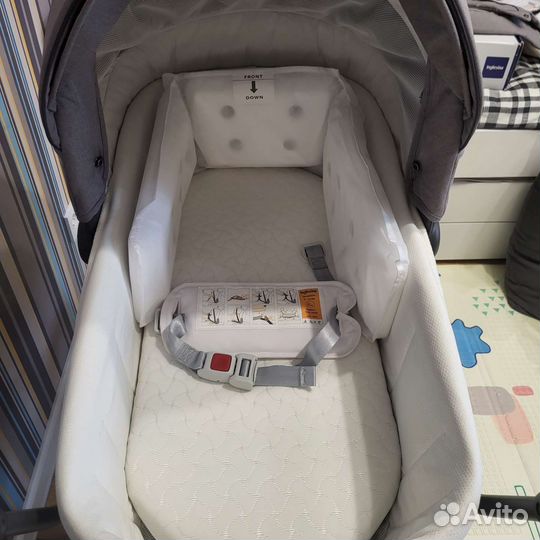 Коляска Inglesina Sofia