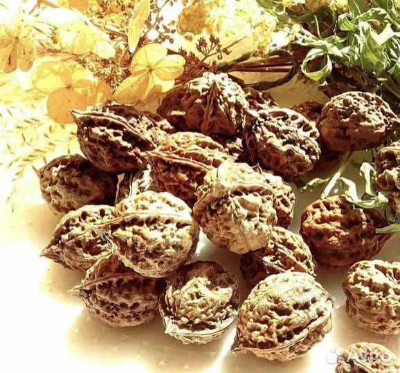 Маньчжурский орех