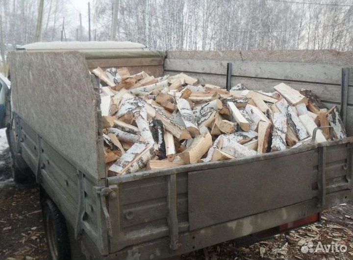 Дрова береза