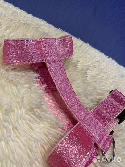 Амуниция для собак(ошейники, поводки и тд)