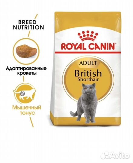 Сухой корм для британских котов