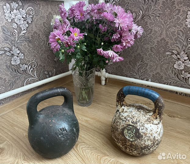 2 гири 24 кг СССР