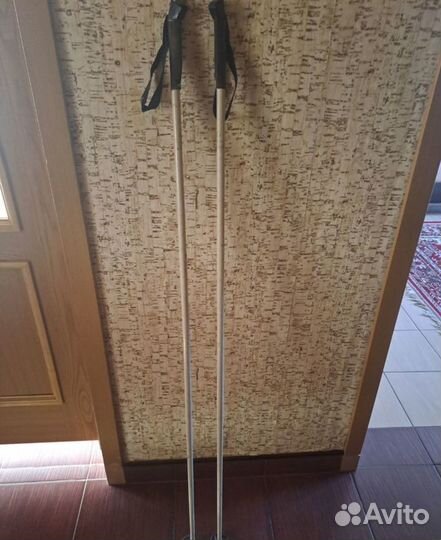 Лыжные палки