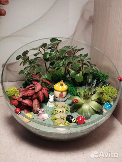 Флорариум на 1 сентября