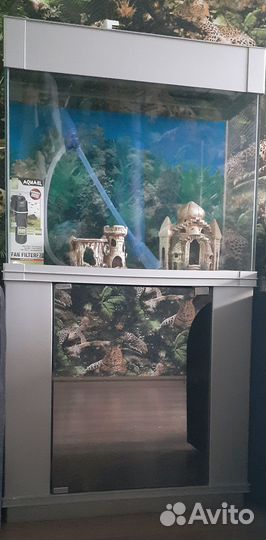 Аквариум