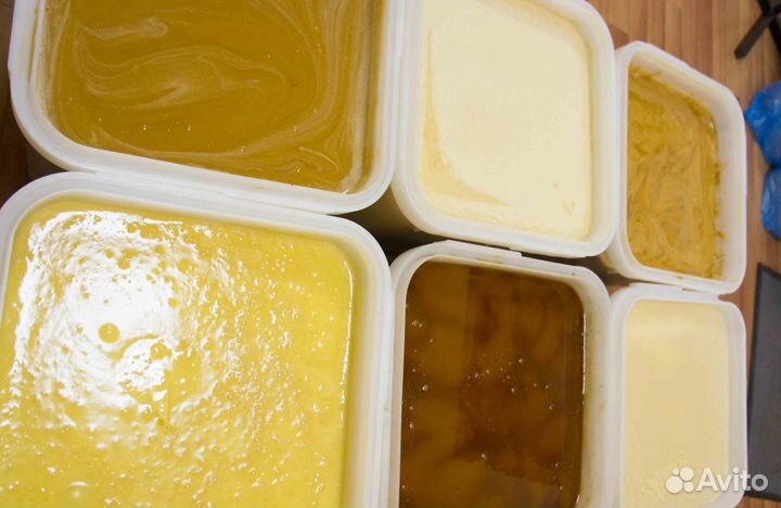 Мед натуральный из Алтая оптом