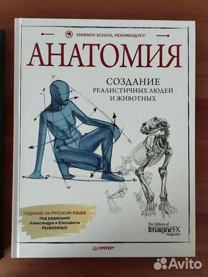 Анатомия Неттера, Цвет и свет, Анатомия. Рисование