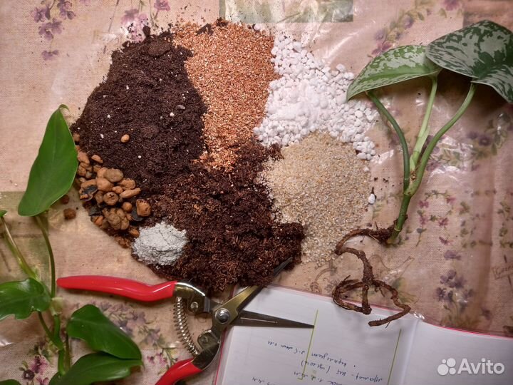 Грунт для комнатных растений