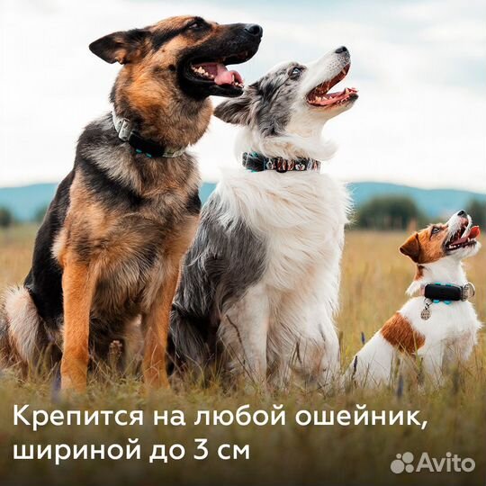 GPS ошейник трекер для собак и кошек