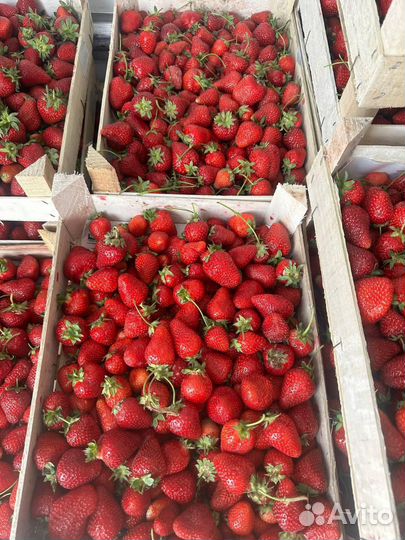 Клубника, малина