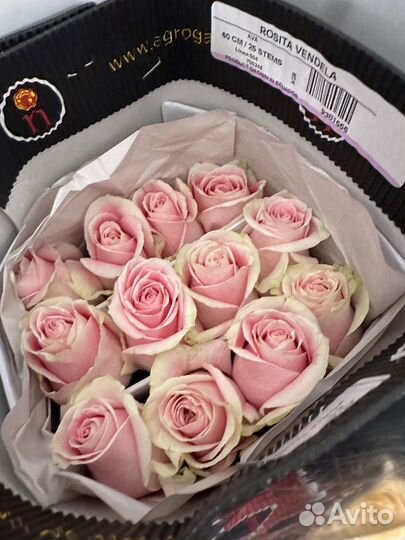 Розы в наличии и на заказ