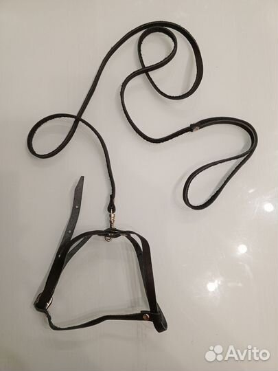 Шлейка+поводок кожа