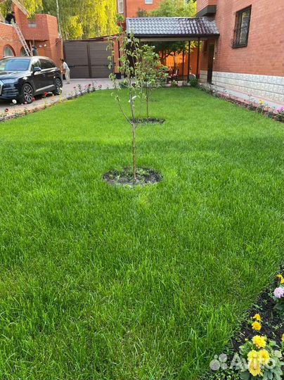 Продажа рулонного газона под ключ