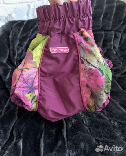 Одежда для собак