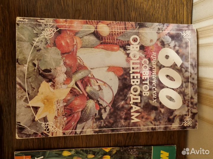 Садоводство, овощиводство, фиалки