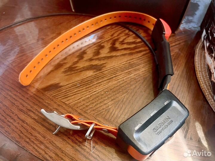 Навигатор garmin с ошейником astro 320/T5