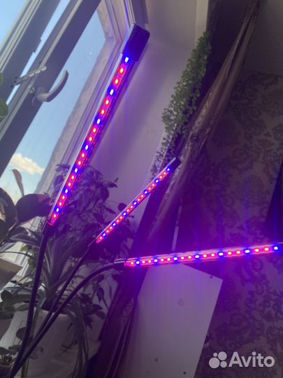 Фитолампа для растений полный спектр