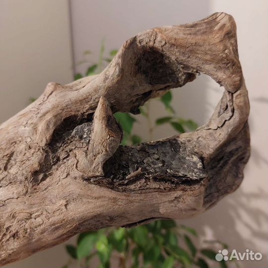 Топляк, коряга для макраме или декора, дрифтвуд