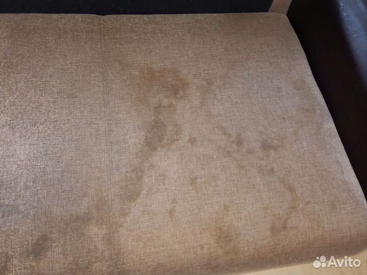 Аренда моющего пылесоса Каrcher puzzi