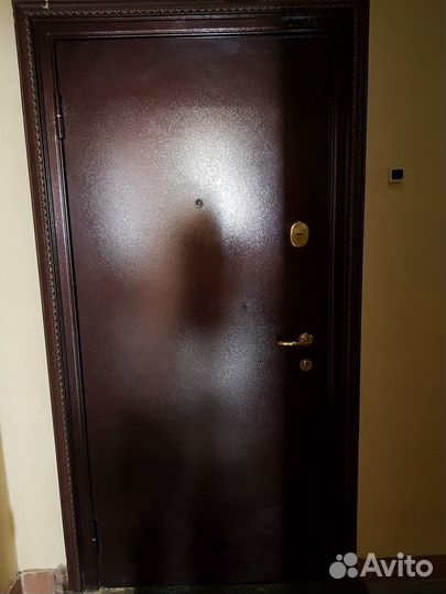 Дверь входная железная