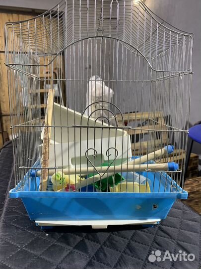 Клетка для попугая