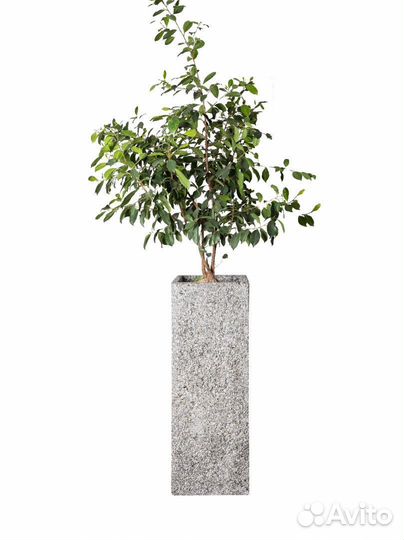 Кашпо из бетона в наличии и под заказ