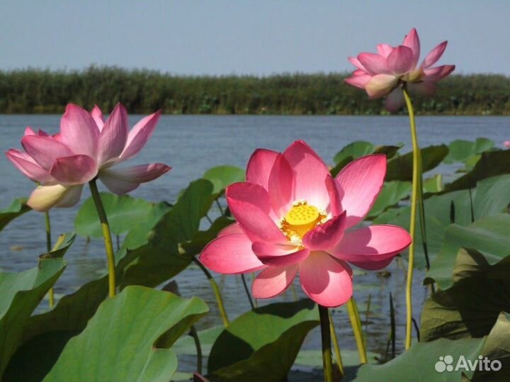 Прогулки на катере