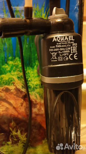 Аквариум на 25 литров