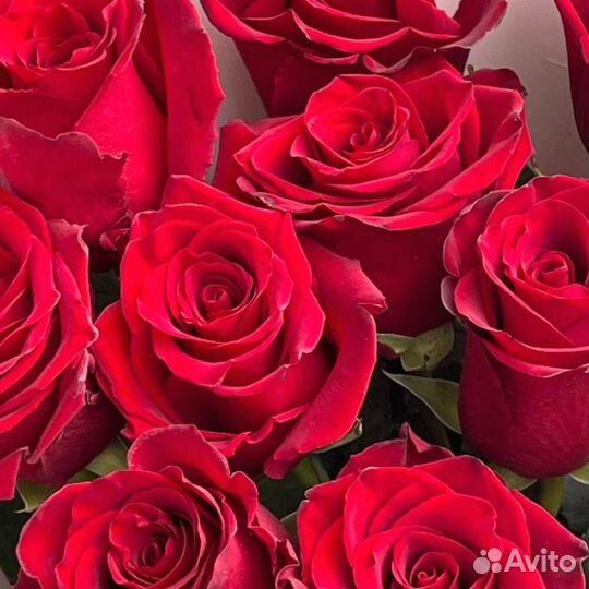 Букет красные розы 11