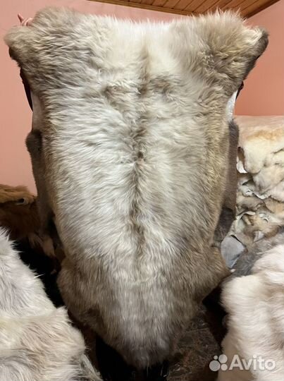 Шкуры овчина