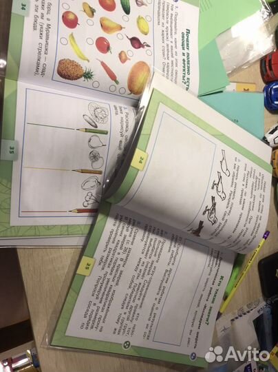 Рабочая тетрадь по окружающему миру 1 класс