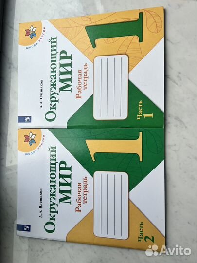 Рабочие тетради 1 класс школа россии