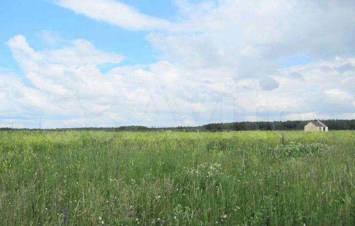 Участок 8 сот. (ИЖС)