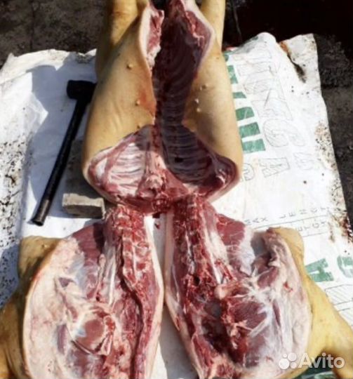Мясо свинина домашняя