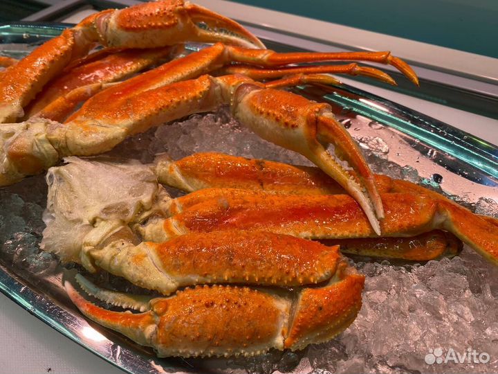 Клешни краба стригуна. 2023