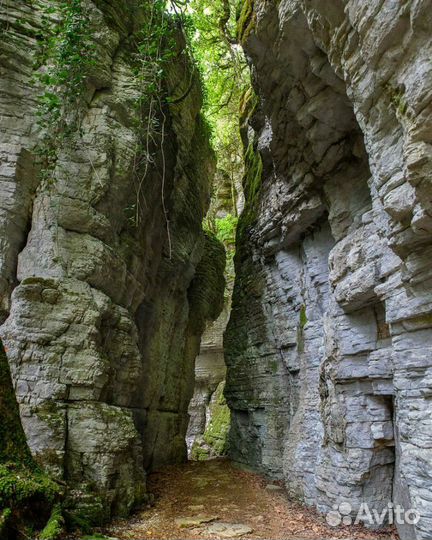 Экскурсии и джип-туры по Сочи и Абхазии
