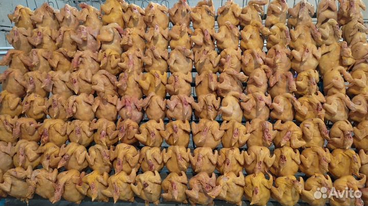 Куры халяльКуры халяль свежие