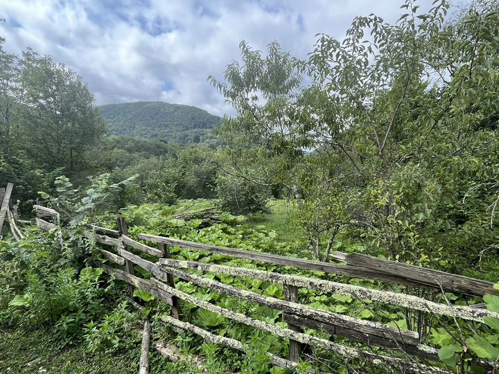 Участок 25 сот. (ИЖС)