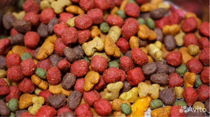 Сухой корм для больших и средних питомцев