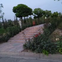 Экскурсии в Душанбе. Добро пожаловать в Душанбе, Светлый