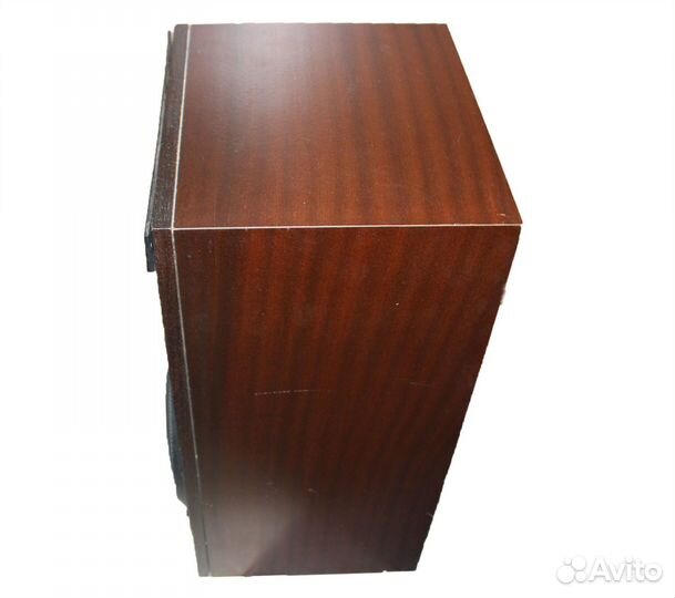 Колонка Электроника 25 ас 033