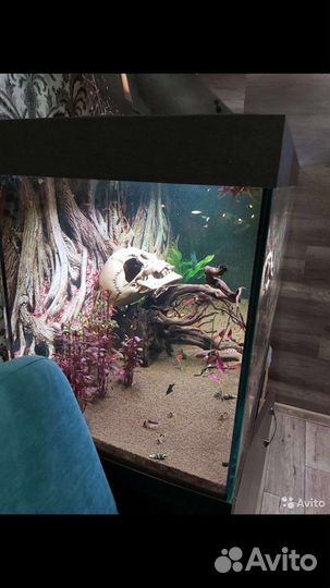 Аквариум с тумбой