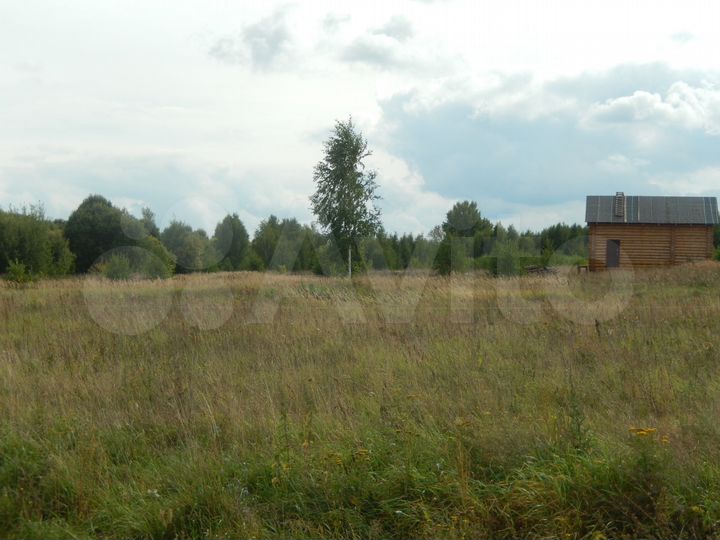 Хмелевая Поляна Нижегородская. Хмелевая Поляна. Хмелевая Поляна Нижегородская область. Хмелевая Поляна Нижегородская область фото.