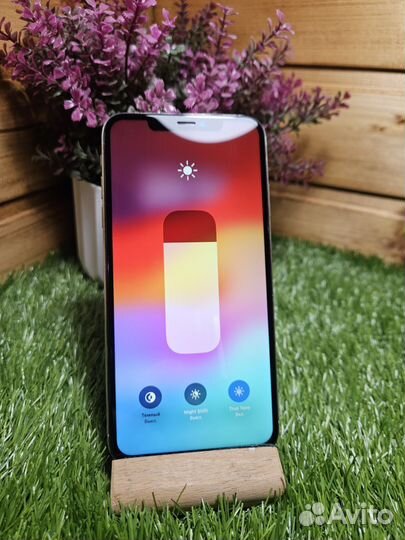 iPhone Xs Max, 256 ГБ