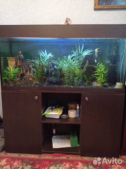 Аквариум