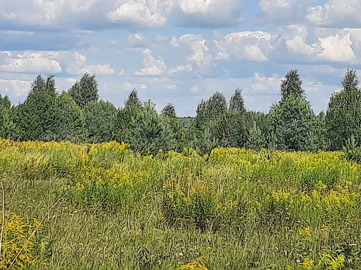 Участок 1,49 га (ИЖС)