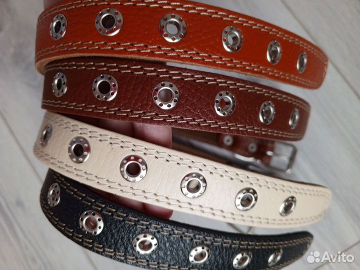 Ошейники для собак крупных пород оптом и в розницу