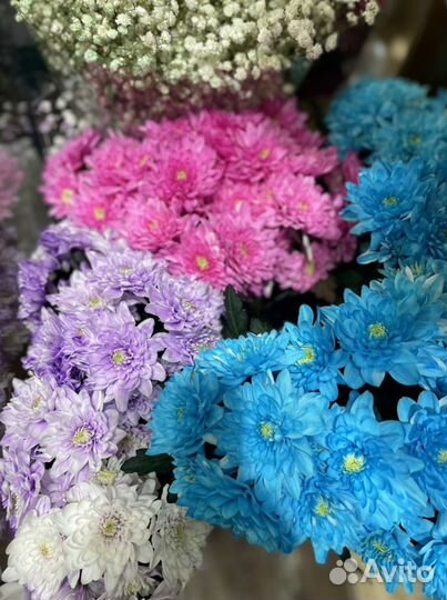 Доставка Цветов и букетов